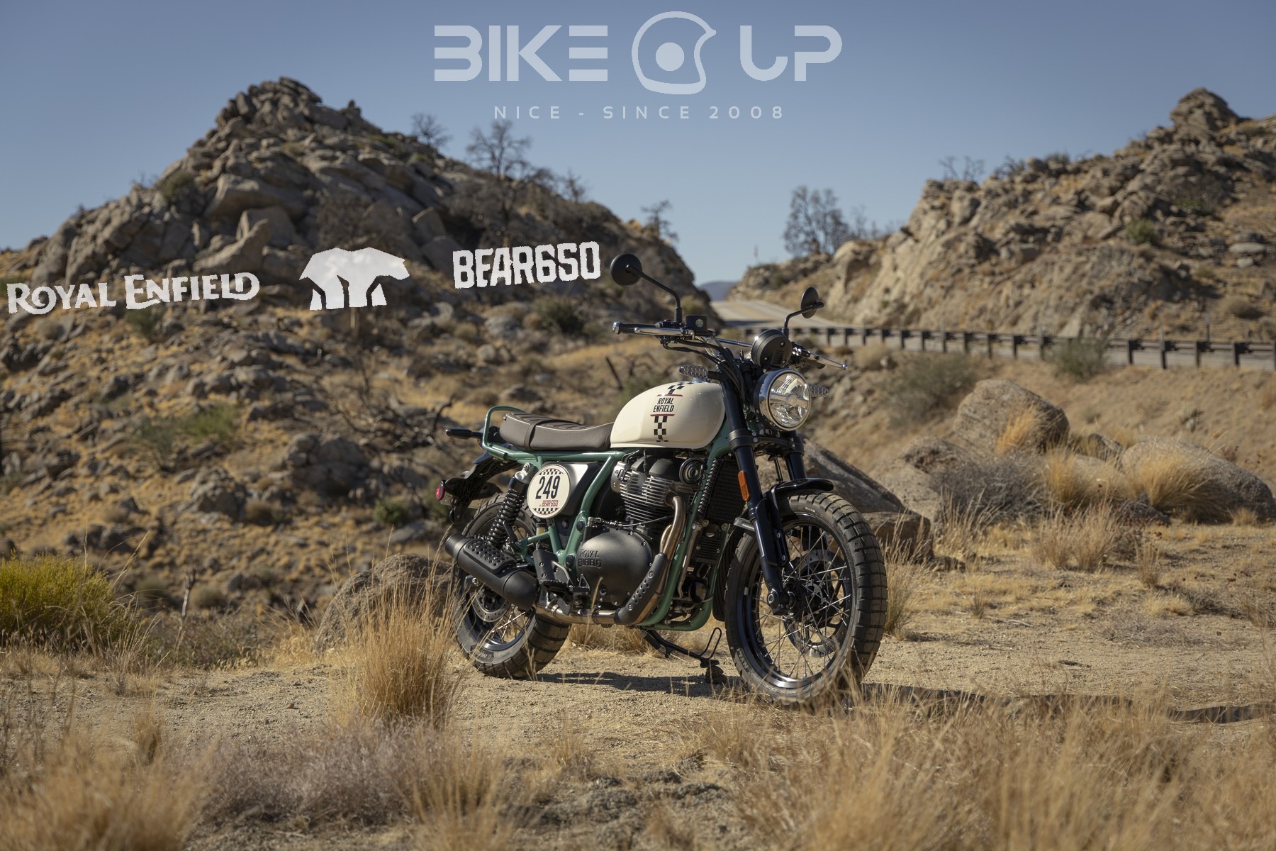 Bear 650